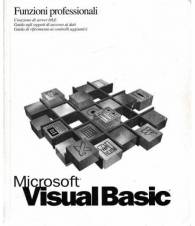 Microsoft Visual Basic. Funzioni professionali