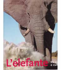 L'elefante tra natura e cultura