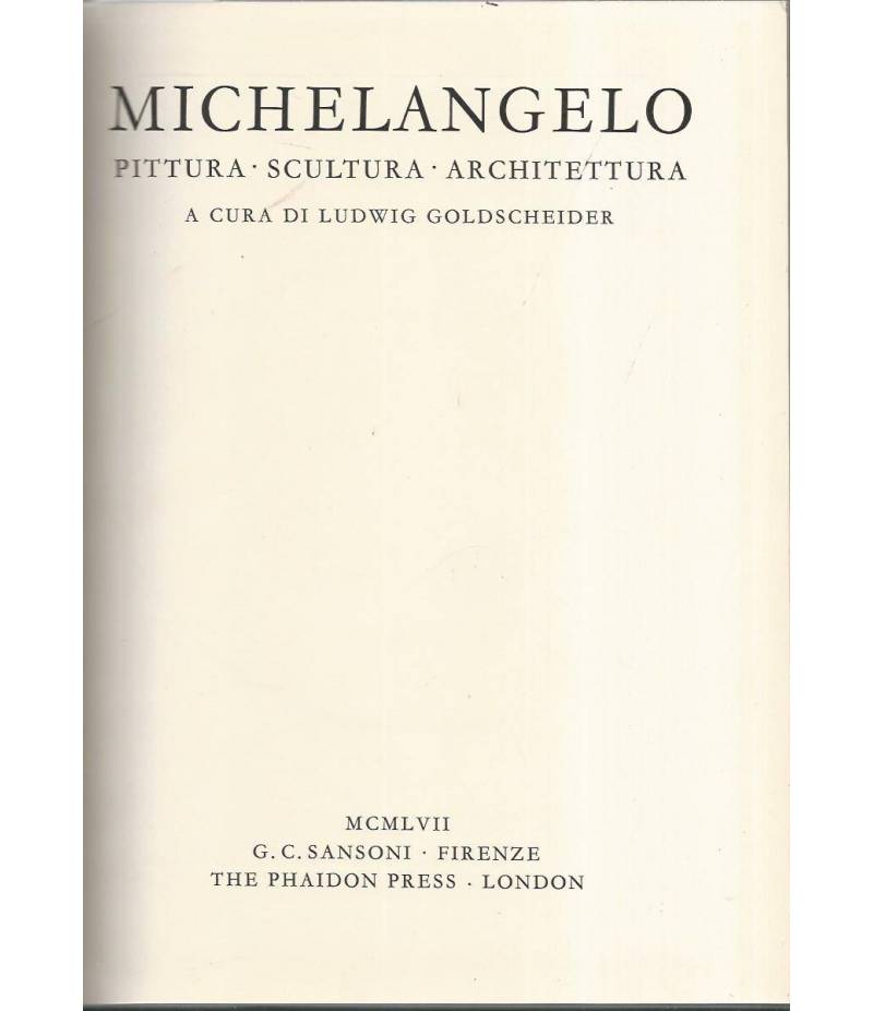 Michelangelo. Pittura,scultura,architettura