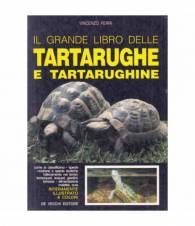 Il grande libro delle tartarughe e tartarughine